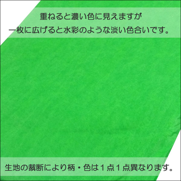 撮影機材用品格安専門店 MEIKA / 撮影用背景紙 (不織布) グリーン緑 3×6m pc-013